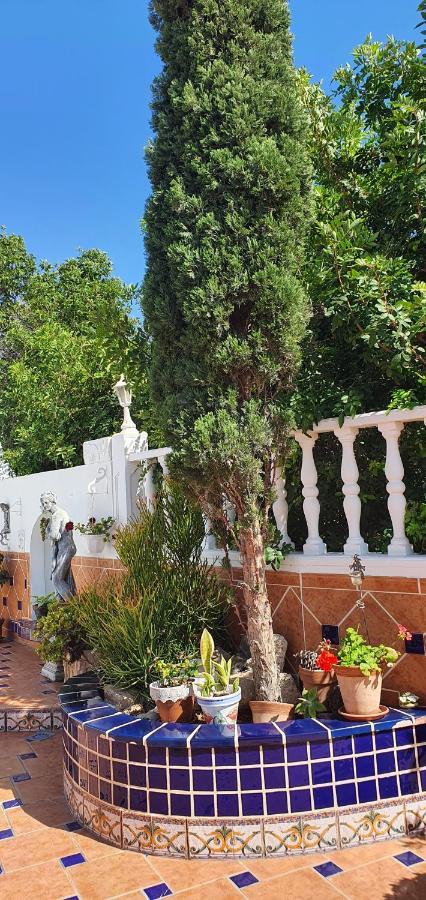 Villa Violetta كالاو سالفاجي المظهر الخارجي الصورة