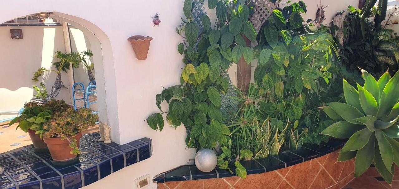 Villa Violetta كالاو سالفاجي المظهر الخارجي الصورة